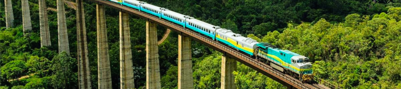 CAPAS SITE (1350 x 350 px) (1350 x 300 px)