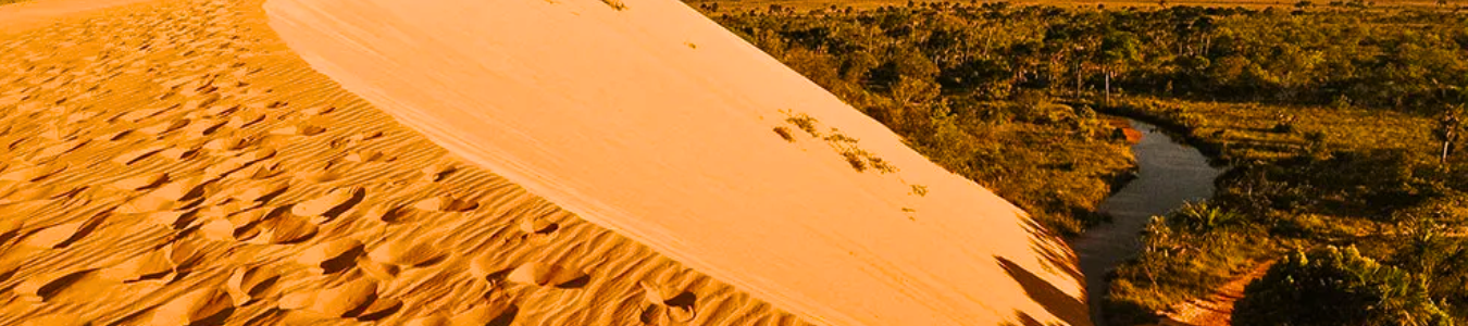 CAPAS SITE (1350 x 350 px) (1350 x 300 px) (5)