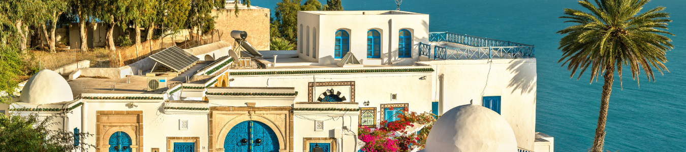 CAPAS SITE (1350 x 350 px) (1350 x 300 px) (1)