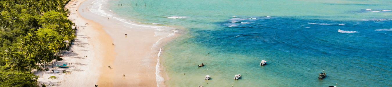 CAPAS SITE (1350 x 350 px) (1350 x 300 px) (1)