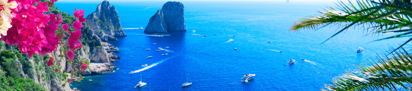 CAPAS SITE (1350 x 350 px) (1350 x 300 px)